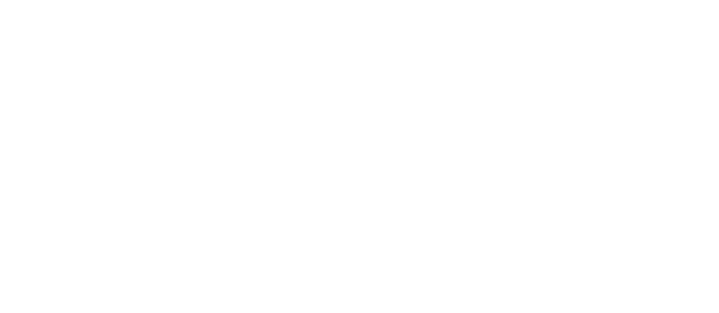 Boston Omaha logo